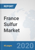 France Sulfur Market: Prospects, Trends Analysis, Market Size and Forecasts up to 2025- Product Image