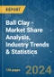 Ball Clay - Market Share Analysis, Industry Trends & Statistics, Growth Forecasts 2019 - 2029 - Product Image