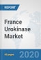 France Urokinase Market: Prospects, Trends Analysis, Market Size and Forecasts up to 2025 - Product Thumbnail Image