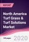 North America Turf Grass & Turf Solutions Market - Forecast (2020 - 2025) - Product Thumbnail Image