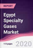 Egypt Specialty Gases Market - Forecast (2020 - 2025)- Product Image