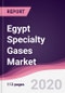 Egypt Specialty Gases Market - Forecast (2020 - 2025) - Product Thumbnail Image