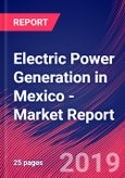 Electric Power Generation in Mexico - Industry Market Research Report- Product Image