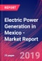 Electric Power Generation in Mexico - Industry Market Research Report - Product Thumbnail Image