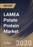 LAMEA Potato Protein Market, by Type, by Application,, by Country, Industry Analysis and Forecast, 2019 - 2025- Product Image
