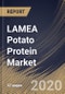 LAMEA Potato Protein Market, by Type, by Application,, by Country, Industry Analysis and Forecast, 2019 - 2025 - Product Thumbnail Image