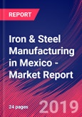 Iron & Steel Manufacturing in Mexico - Industry Market Research Report- Product Image