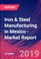 Iron & Steel Manufacturing in Mexico - Industry Market Research Report - Product Thumbnail Image