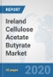 Ireland Cellulose Acetate Butyrate Market: Prospects, Trends Analysis, Market Size and Forecasts up to 2025 - Product Thumbnail Image