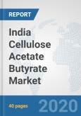 India Cellulose Acetate Butyrate Market: Prospects, Trends Analysis, Market Size and Forecasts up to 2025- Product Image