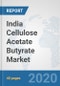 India Cellulose Acetate Butyrate Market: Prospects, Trends Analysis, Market Size and Forecasts up to 2025 - Product Thumbnail Image