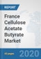 France Cellulose Acetate Butyrate Market: Prospects, Trends Analysis, Market Size and Forecasts up to 2025 - Product Thumbnail Image