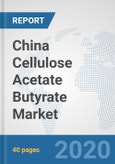China Cellulose Acetate Butyrate Market: Prospects, Trends Analysis, Market Size and Forecasts up to 2025- Product Image