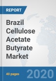 Brazil Cellulose Acetate Butyrate Market: Prospects, Trends Analysis, Market Size and Forecasts up to 2025- Product Image