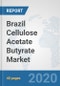 Brazil Cellulose Acetate Butyrate Market: Prospects, Trends Analysis, Market Size and Forecasts up to 2025 - Product Thumbnail Image