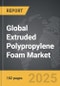 Extruded Polypropylene (XPP) Foam - Global Strategic Business Report - Product Image