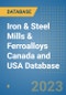 Iron & Steel Mills & Ferroalloys Canada and USA Database - Product Image