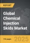 Chemical Injection Skids - Global Strategic Business Report - Product Thumbnail Image