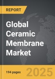 Ceramic Membrane: Global Strategic Business Report- Product Image