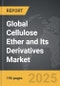 Cellulose Ether and Its Derivatives - Global Strategic Business Report - Product Thumbnail Image