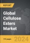 Cellulose Esters - Global Strategic Business Report - Product Thumbnail Image