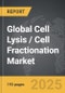 Cell Lysis / Cell Fractionation - Global Strategic Business Report - Product Image