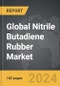 Nitrile Butadiene Rubber (NBR) - Global Strategic Business Report - Product Image