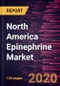 North America Epinephrine Market to 2027 - Regional Analysis and Forecasts by Product Type; Application; Distribution Channel; and Country - Product Thumbnail Image