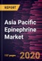 Asia Pacific Epinephrine Market to 2027 - Regional Analysis and Forecasts by Product Type; Application; Distribution Channel; and Country - Product Thumbnail Image