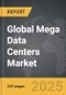 Mega Data Centers - Global Strategic Business Report - Product Thumbnail Image