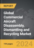 Commercial Aircraft Disassembly, Dismantling and Recycling - Global Strategic Business Report- Product Image