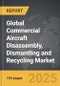 Commercial Aircraft Disassembly, Dismantling and Recycling - Global Strategic Business Report - Product Thumbnail Image