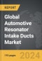 Automotive Resonator Intake Ducts - Global Strategic Business Report - Product Thumbnail Image