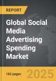 Social Media Advertising Spending - Global Strategic Business Report- Product Image