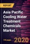 Asia Pacific Cooling Water Treatment Chemicals Market to 2027 - Regional Analysis and Forecasts by Type; End-User Industry, and Country - Product Thumbnail Image