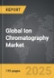 Ion Chromatography - Global Strategic Business Report - Product Thumbnail Image