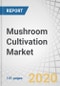 Mushroom Cultivation Market by Type (Button mushroom, Oyster mushroom, Shiitake mushroom, Other types), By Phase, By Region (North America, Europe, Asia Pacific, South America, Rest of the World) - Global Forecast to 2025 - Product Thumbnail Image