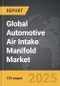 Automotive Air Intake Manifold - Global Strategic Business Report - Product Image