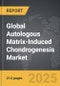 Autologous Matrix-Induced Chondrogenesis (AMIC) - Global Strategic Business Report - Product Thumbnail Image