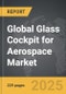 Glass Cockpit for Aerospace - Global Strategic Business Report - Product Thumbnail Image