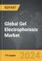 Gel Electrophoresis - Global Strategic Business Report - Product Thumbnail Image