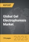 Gel Electrophoresis: Global Strategic Business Report - Product Thumbnail Image