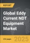 Eddy Current NDT Equipment - Global Strategic Business Report - Product Image