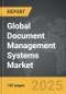 Document Management Systems - Global Strategic Business Report - Product Image