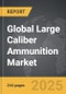 Large Caliber Ammunition - Global Strategic Business Report - Product Image