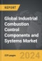 Industrial Combustion Control Components and Systems - Global Strategic Business Report - Product Thumbnail Image