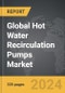 Hot Water Recirculation Pumps - Global Strategic Business Report - Product Image