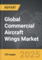 Commercial Aircraft Wings - Global Strategic Business Report - Product Thumbnail Image