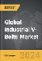 Industrial V-Belts - Global Strategic Business Report - Product Thumbnail Image