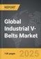 Industrial V-Belts - Global Strategic Business Report - Product Thumbnail Image